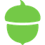 Acorns icon