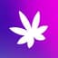 Amuse icon