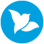 BlueBird icon