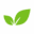 Enmarket icon