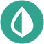 Mint icon