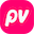 Paid Viewpoint icon