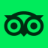 Tripadvisor icon