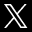 X icon